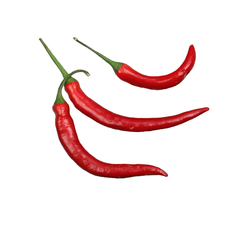 chilli 1